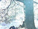 John Lennon / Plastic Ono Band - John Lennon/Plastic Ono Band LP (VG+/VG+) '