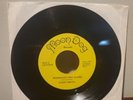 Vintage WWF Vinyl Record Moondogs Sing Along