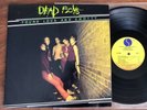 THE DEAD BOYS   YOUNG LOUD AND SNOTTY / SIRE SR 6038 ORIG. PUNK KBD LP STERLING