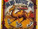 IT'S A BEAUTIFUL DAY - Choice Quality Stuff *SEALED* 1971 Original Mint Psych LP