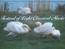 Various - Festival Of Light Classical Music - Used Vinyl Record - Y1142A