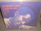 MARVIN GAYE that's the way love is ( soul )