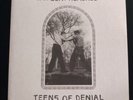 Car Seat Headrest- Teens Of Denial Vinyl Double LP