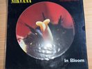 Nirvana In Bloom Vinyl 12” Picture Disc Limited Edition Rare Kurt Cobain AIC OOP