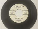 The Shells 1961 DOO WOP 45 Sweetest One / Baby Walk On In JOHNSON DJ VG+ HEAR