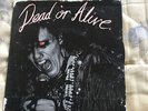 Dead or Alive indies 7
