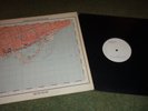 Martha and the Muffins Metro Music LP + Toyah Echo Beach White Label 12