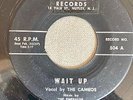 DOO WOP 45 CAMEOS DEAN 504 WAIT UP / LOST LOVER