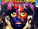 DAVID LEE ROTH 