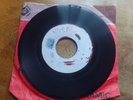 Pre Blank-The Zodiacs-Baba Brooks-Renegade-Duck Soup-7''-mp3