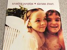 Smashing Pumpkins - Siamese Dream 12