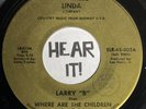 Obscure NE Country Bopper Rockabilly 45 LARRY BOELTER Where Are SAWTRELL hear