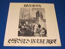 DRNWYN /Gypsies In The Mist OG PRIVATE PRESS USA 1978 LP 1st PRESS PSYCH ROCK