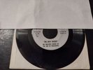 Reb Rebel Records vintage 45 Multiple Voices of the Son of Mississippi Sheriff