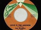 Northern Soul 45 - Jan Bradley - Love Is The Answer - Sound Spectrum - mp3