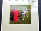 Rush - Signals Original Vinyl Album, Inner inc Lyrics (UK)