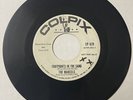 Marcels 1962 DOO WOP 45 Footprints In The Sand / Twistin Fever COLPIX DJ M- HEAR