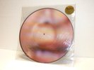The Blood Brothers: March on Electric Children (Vinyl) Limited Edition 385/2500