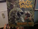 SAVOY BROWN - LOOKING IN