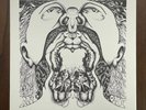 ANT TRIP CEREMONY 24 Hours LP Private Ohio Garage Psych 1968