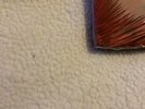 Ozos Violet, Red blue & white, white & black, curacao, BjorFoss turq LPs inc p&p