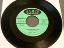 Andy Rose: Classroom Cutie/The Promise 45 AAMCO rare teen VG+ HEAR