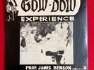 SEALED Prof James Benson GOW DOW EXPERIENCE LP Private Jazz Funk Afro 1973
