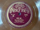 The Clevelanders Here I Am / Troubadours Singin' In The Bathtub 1929 15255 #96