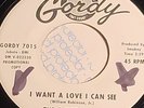 RARE NORTHERN SOUL FUNK 45 TEMPTATIONS I WANT A LOVE I CAN SEE GORDY PROMO