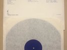 THE POLICE - LIVE IN ITALY - 1980 Vinyl LP NM/NM Blue