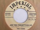 Doo Wop R&B 45 THE KIDDS Are You Forgetting Me/Drunk (x3) Imperial NM RARE Hear