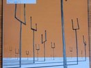 Muse Origin Of Symmetry Vinyl First Pressing