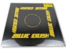 Billie Eilish - Live At Third Man Records [LP, 2020] RSD 2020 on Opaque Blue
