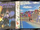Prince Around The World In A Day and Purple Rain Vinyls