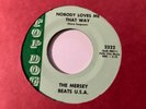 1967 THE MERSEY BEATS U.S.A. Nobody Loves Me That Way / 30 Second Lover  45
