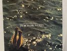 Hans-Joachim Roedelius Durch Die Wuste  (Vinyl)  12