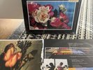 WHISKEYTOWN Strangers Almanac 180G 2xLP In Shrink RYAN ADAMS CAITLIN CARY