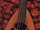 Strawbs The Best Of Strawbs GATEFOLD NEAR MINT A & M Records 2xVinyl LP