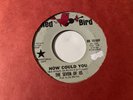THE SEVEN OF US How Could You/ The Way To Your Heart Promo 45