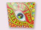 PSYCHEDELIC SOUNDS 13TH FLOOR ELEVATORS 1966 ORIG MONO LP PSYCH