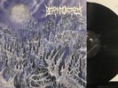 Death Fortress – Triumph Of The Undying LP 2017 Fallen Empire – FE-47 NM/NM