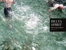DELTA SPIRIT - History From Below - Vinyl - **BRAND NEW/STILL SEALED** - RARE