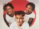 terry hall signed