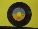 VHTF NORTHERN 45 We The People Lion 164 Making My Daydream Real/Whatcha Done For