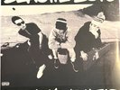 SEALED NEW DOUBLE LP The Beastie Boys - Check Your Head
