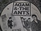 ADAM & THE ANTS YOUNG PARISIANS RARE 12