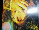 The Flaming Lips Embryonic Vinyl Record (2009)