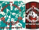 The Mighty Mighty Bosstones - Don't Know How To Party LP 1994 USA&Canada ORIG