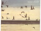 Echo & The Bunnymen Dutch Korova 7