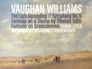 Vaughan Williams: The Lark Ascending Symphony No 6 Fantasia On A Theme By Tho...